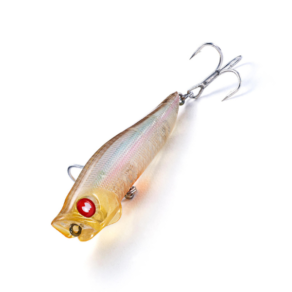 Ｒ．Ａ．ポップ(ＧＤＭ　ゴールデンモロコ)